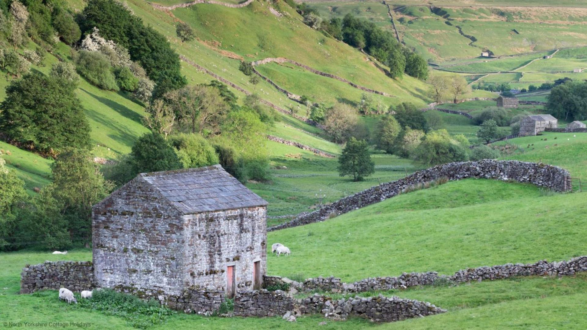Picturesque Stone Cottage In The Heart Of North Yorkshire Village - Hideaway Cottage Buitenkant foto