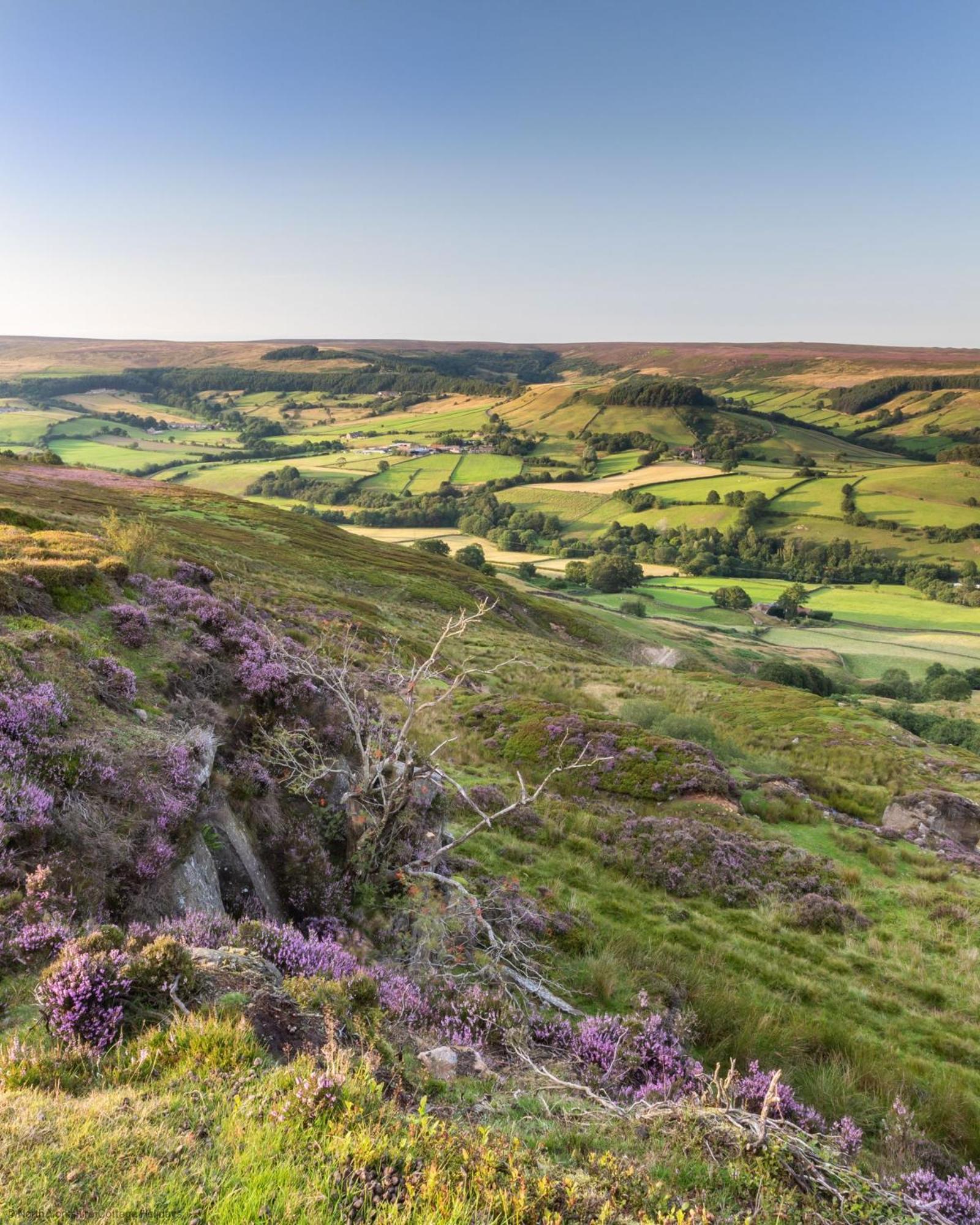 Picturesque Stone Cottage In The Heart Of North Yorkshire Village - Hideaway Cottage Buitenkant foto